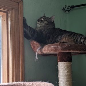 Meet your Posher, Cathy